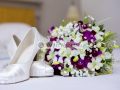 Posy orchids