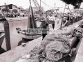 Caorle (4)