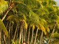 Couple walking on a beach, Bora Bora.