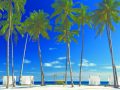 CABANAS AND PALM TREES