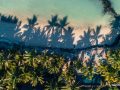 47-Seasense-Palmar-Drone-1